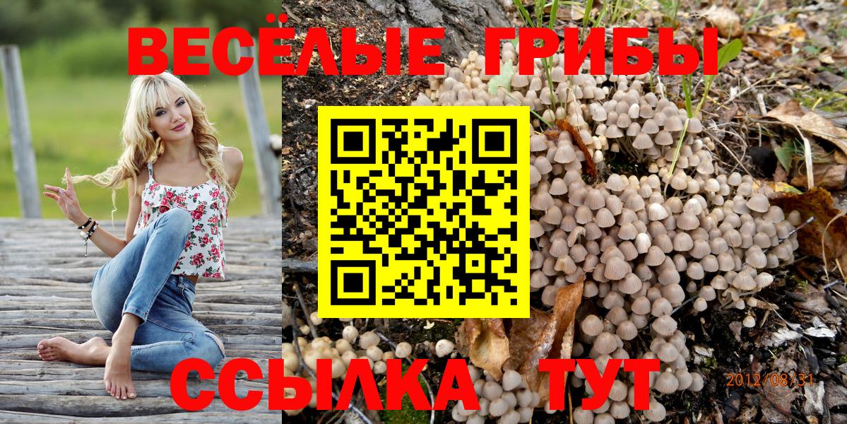 Галлюциногенные грибы Cubensis  Псилоцибиновые грибы мухоморы  Ачхой-Мартан  Вход с VPN 